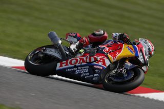 #33 Red Bull Honda