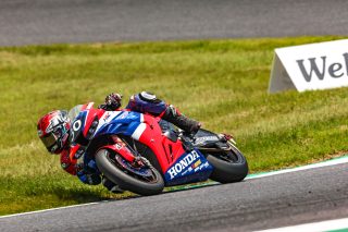 Fim-8H-Suzuka-2024-Team HRC, Takahashi Takumi, Zarco Johann, Nagoe Teppei, CBR1000RR-R SP, Formula EWC